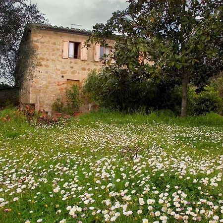 Villa La Vigna Agriturismo à Sienne Extérieur photo