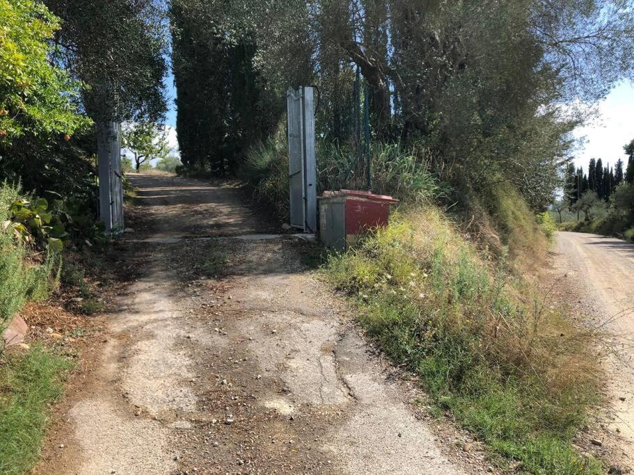 Villa La Vigna Agriturismo à Sienne Extérieur photo