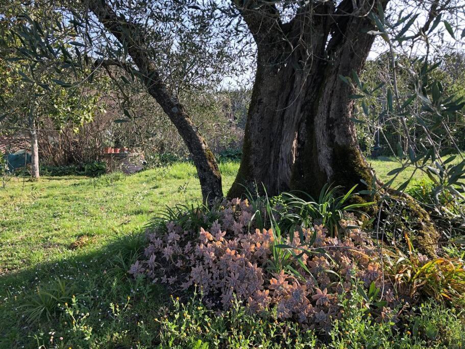 Villa La Vigna Agriturismo à Sienne Extérieur photo