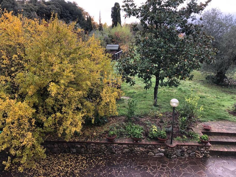 Villa La Vigna Agriturismo à Sienne Extérieur photo