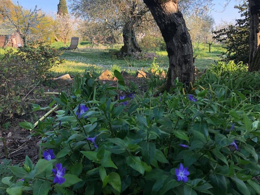 Villa La Vigna Agriturismo à Sienne Extérieur photo