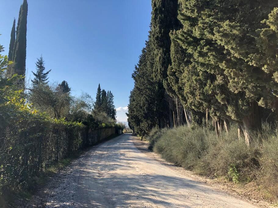 Villa La Vigna Agriturismo à Sienne Extérieur photo