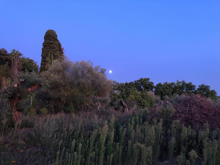 Villa La Vigna Agriturismo à Sienne Extérieur photo