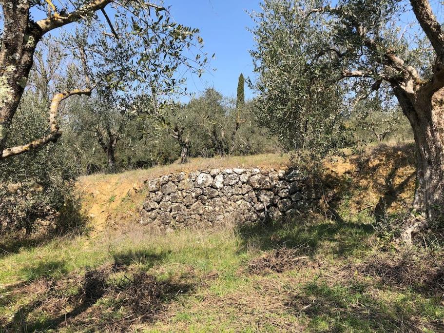 Villa La Vigna Agriturismo à Sienne Extérieur photo